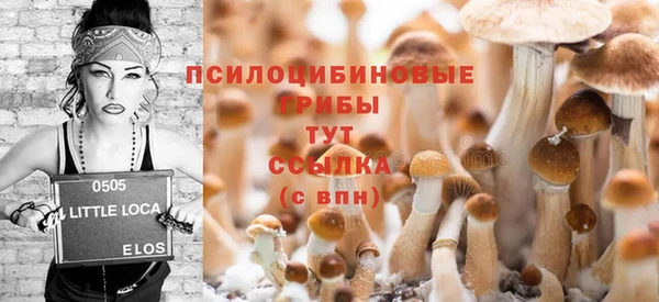 мет Алзамай